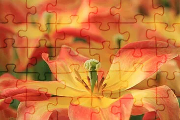 OK jigsaw puzzle