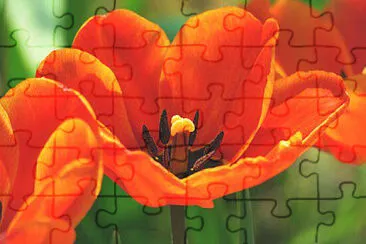 OK jigsaw puzzle