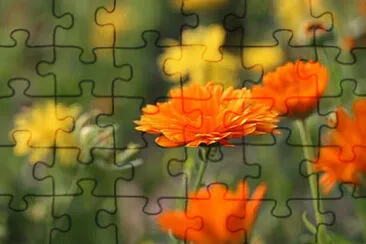 OK jigsaw puzzle