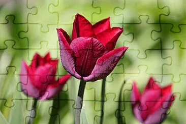 OK jigsaw puzzle