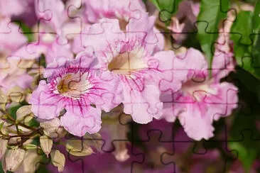 OK jigsaw puzzle