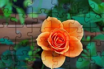 OK jigsaw puzzle