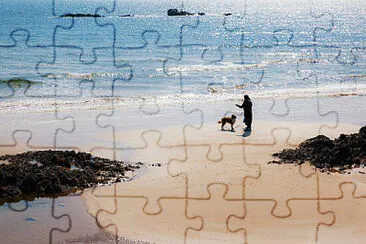 Toy jigsaw puzzle