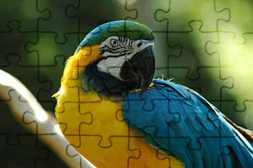 Toy jigsaw puzzle