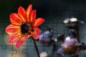 OK jigsaw puzzle