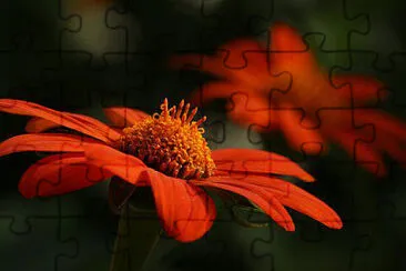 OK jigsaw puzzle