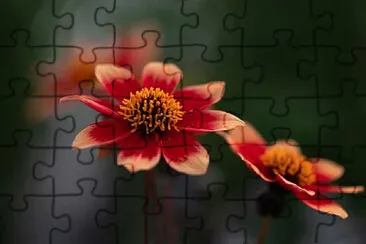 OK jigsaw puzzle