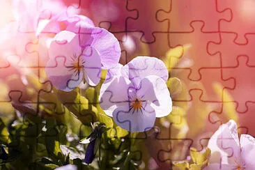 OK jigsaw puzzle