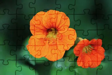 OK jigsaw puzzle