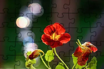 OK jigsaw puzzle