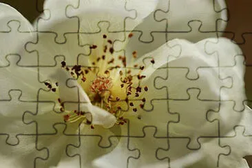 OK jigsaw puzzle