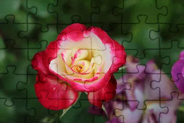 OK jigsaw puzzle