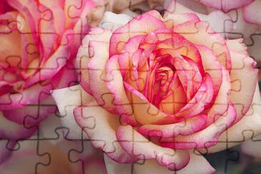 OK jigsaw puzzle