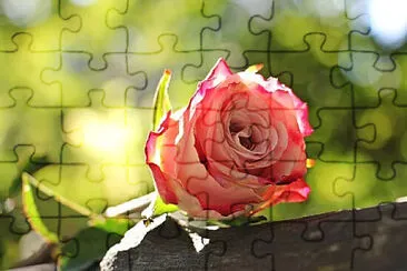 OK jigsaw puzzle