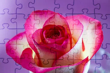 OK jigsaw puzzle