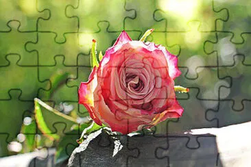 OK jigsaw puzzle