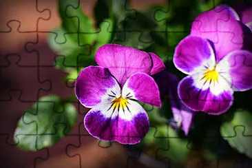 OK jigsaw puzzle