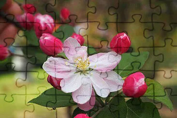 OK jigsaw puzzle