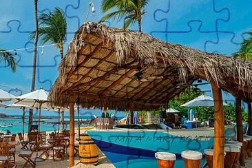 342.- LA PALAPA jigsaw puzzle