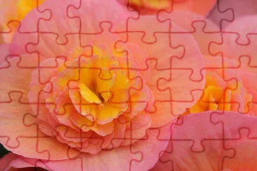 OK jigsaw puzzle