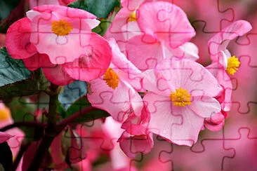 OK jigsaw puzzle