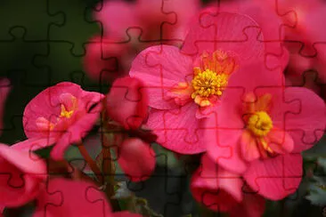 OK jigsaw puzzle