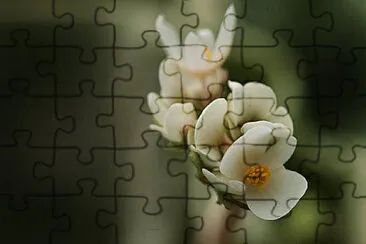 OK jigsaw puzzle