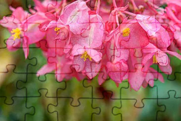 OK jigsaw puzzle