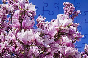 OK jigsaw puzzle