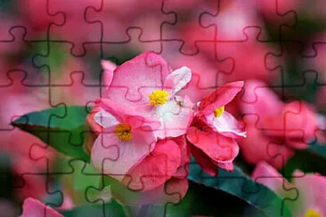 OK jigsaw puzzle