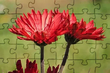 OK jigsaw puzzle