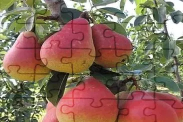 imagem jigsaw puzzle