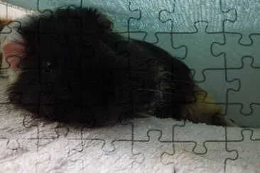 3Q jigsaw puzzle