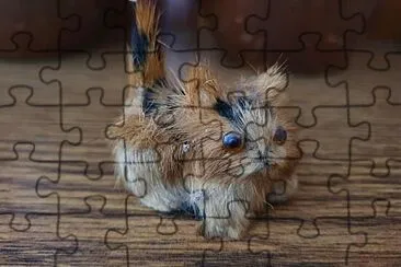 kitten jigsaw puzzle