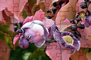 OK jigsaw puzzle