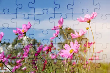 Pink flowers in the wind jigsaw puzzle