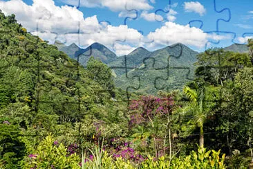 Nature jigsaw puzzle