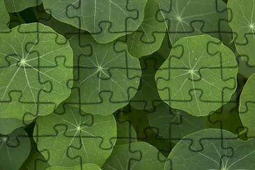 Nature jigsaw puzzle