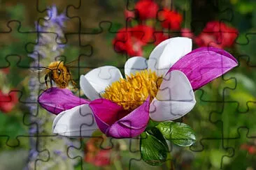 OK jigsaw puzzle