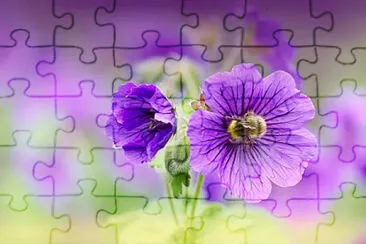 Toy jigsaw puzzle