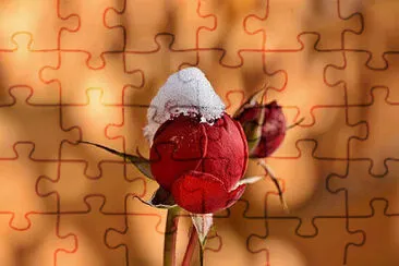 Toy jigsaw puzzle