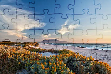 Toy jigsaw puzzle