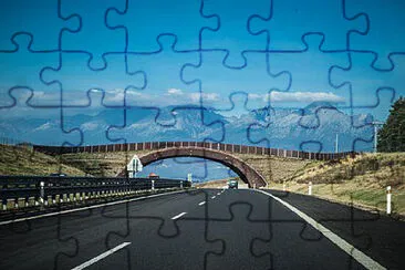 Toy jigsaw puzzle