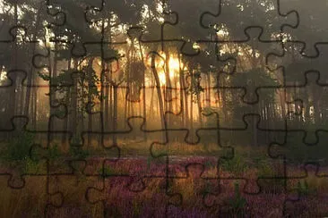 Toy jigsaw puzzle