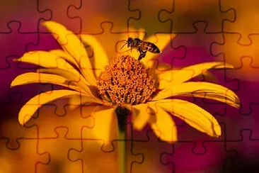 Toy jigsaw puzzle