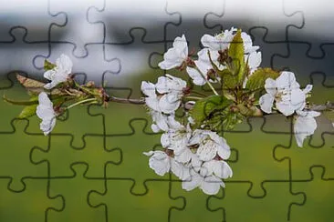 Toy jigsaw puzzle