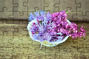 Toy jigsaw puzzle