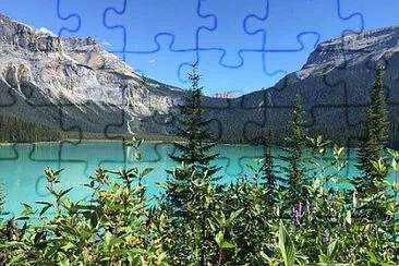 Nature jigsaw puzzle