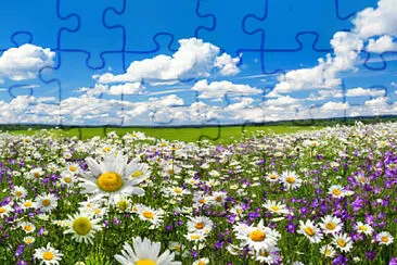 Toy jigsaw puzzle