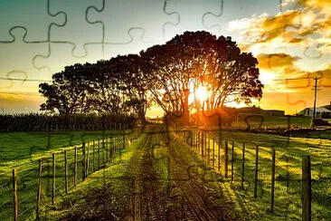 Toy jigsaw puzzle